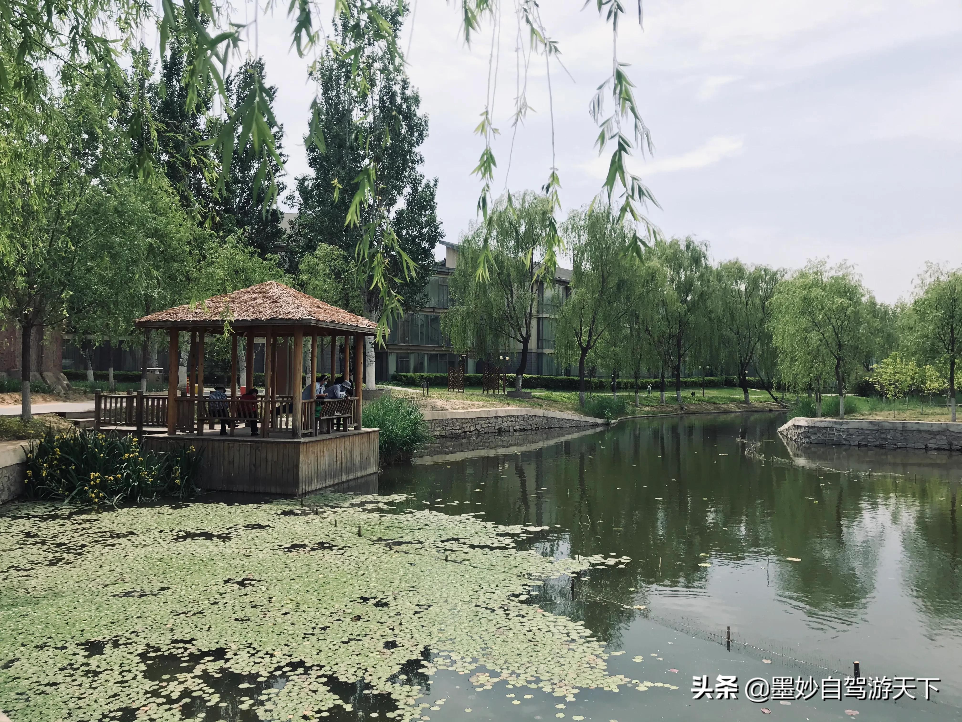 帐篷伞安装过程_皇家雨伞_皇家帐篷伞