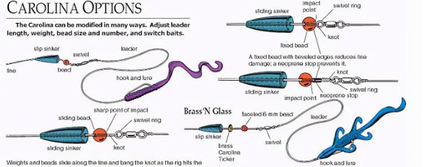 东南大西洋渔场在哪_东南大西洋渔场_东南洋水厂