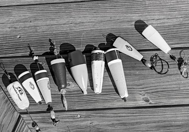 东南大西洋渔场_东南大西洋渔场在哪_东南洋水厂