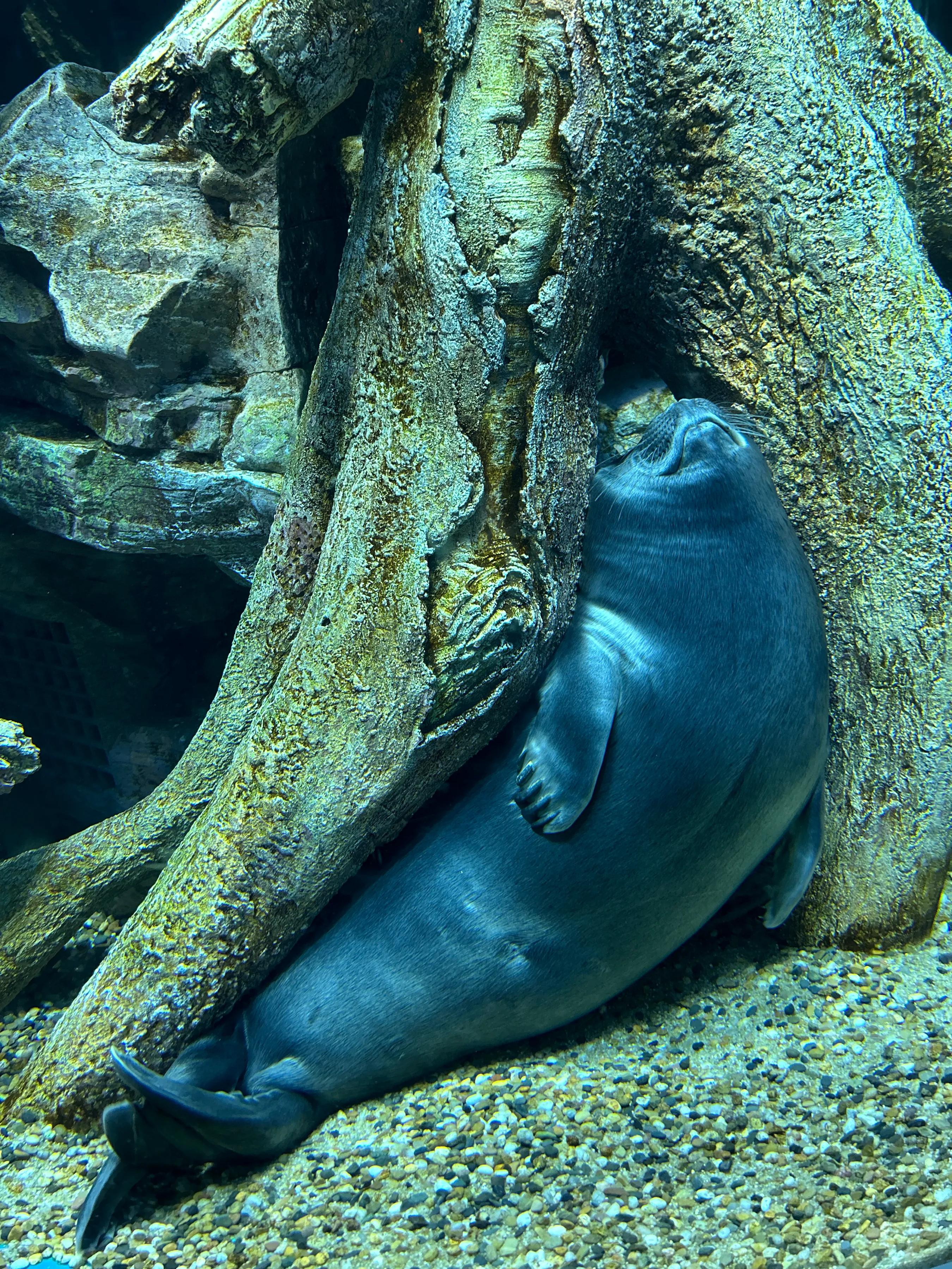 珠海亲子游攻略_珠海亲子一日游_珠海亲子游记