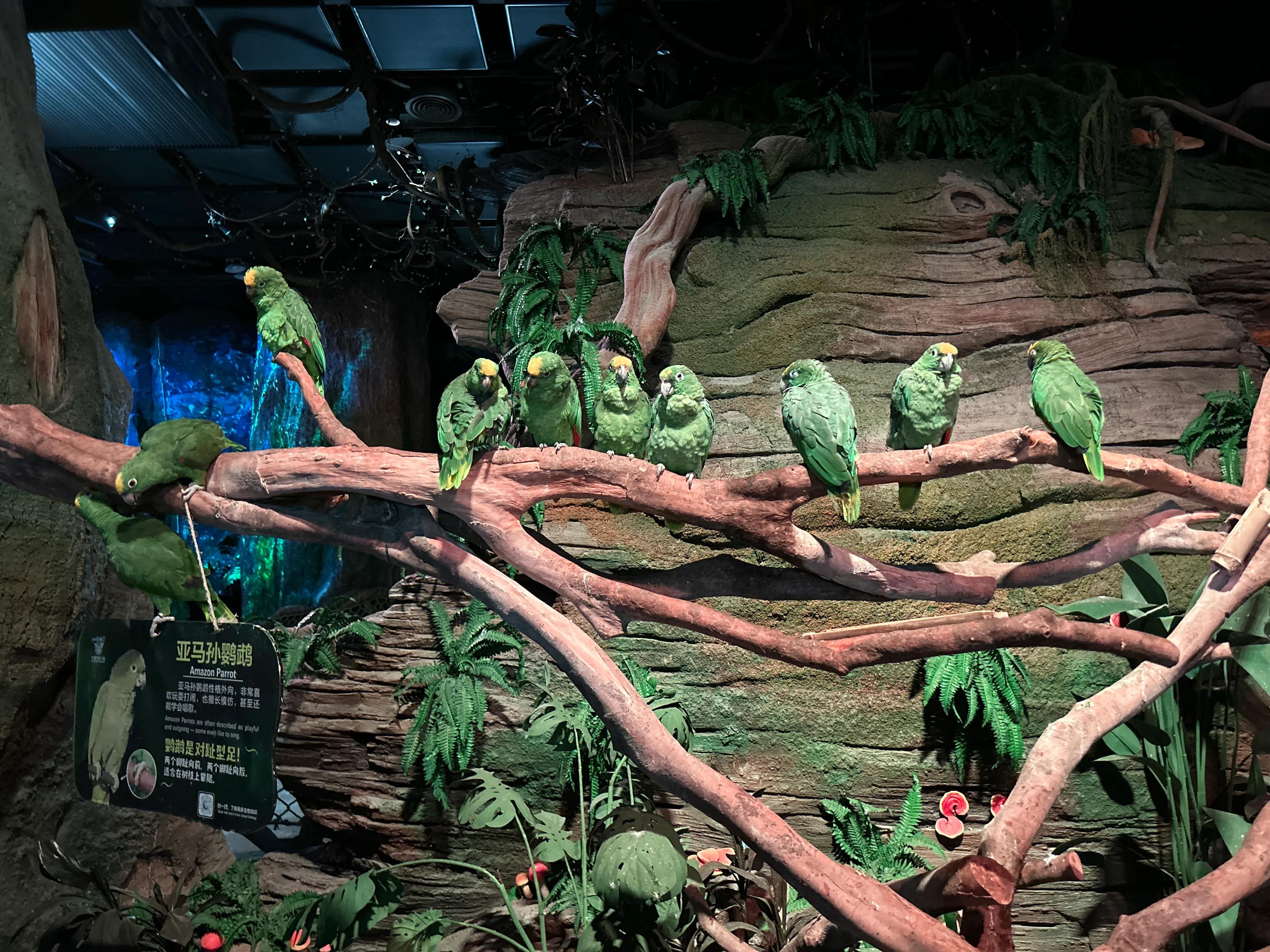 珠海亲子游记_珠海亲子一日游_珠海亲子游攻略