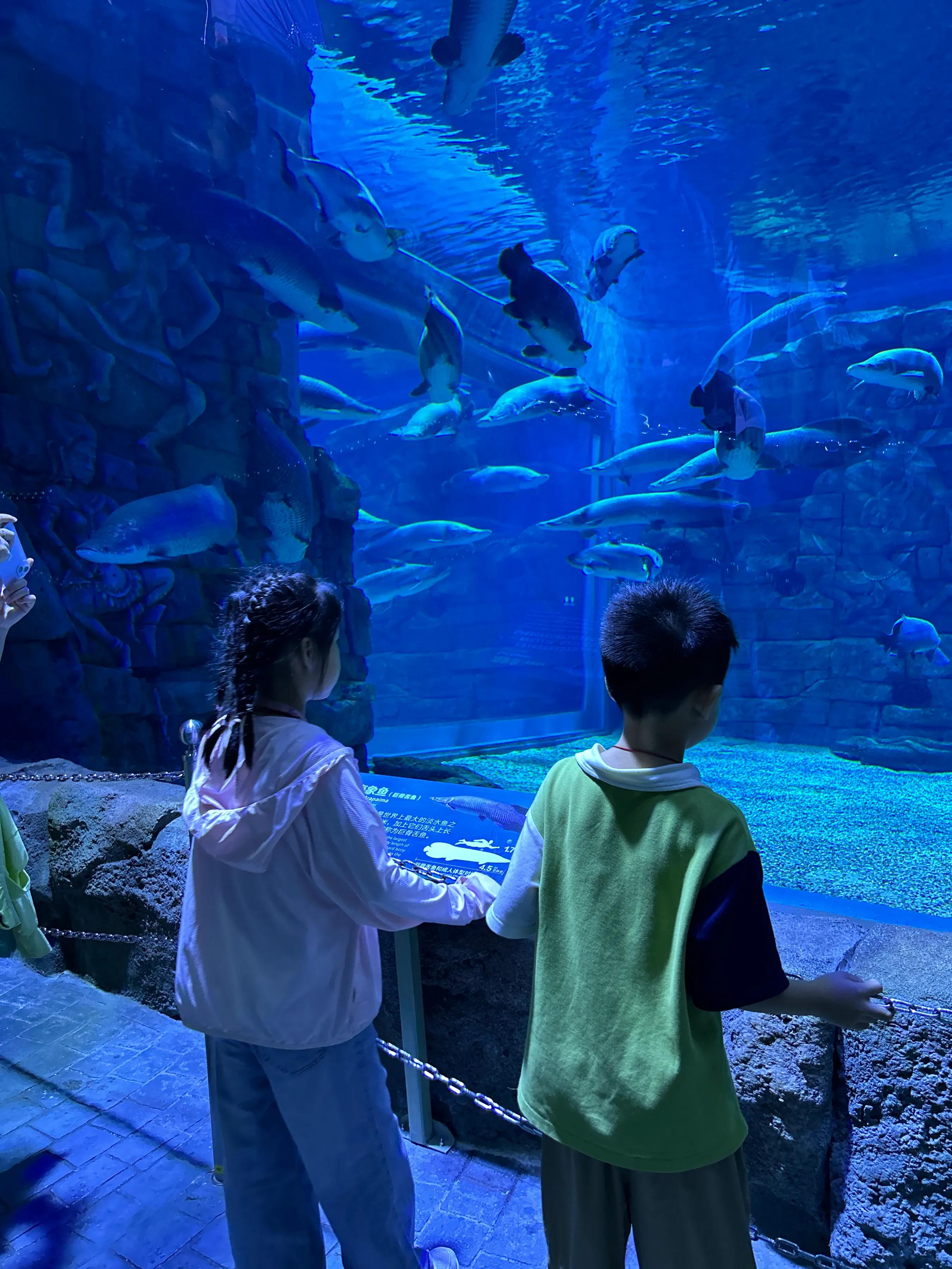 珠海亲子一日游_珠海亲子游记_珠海亲子游攻略