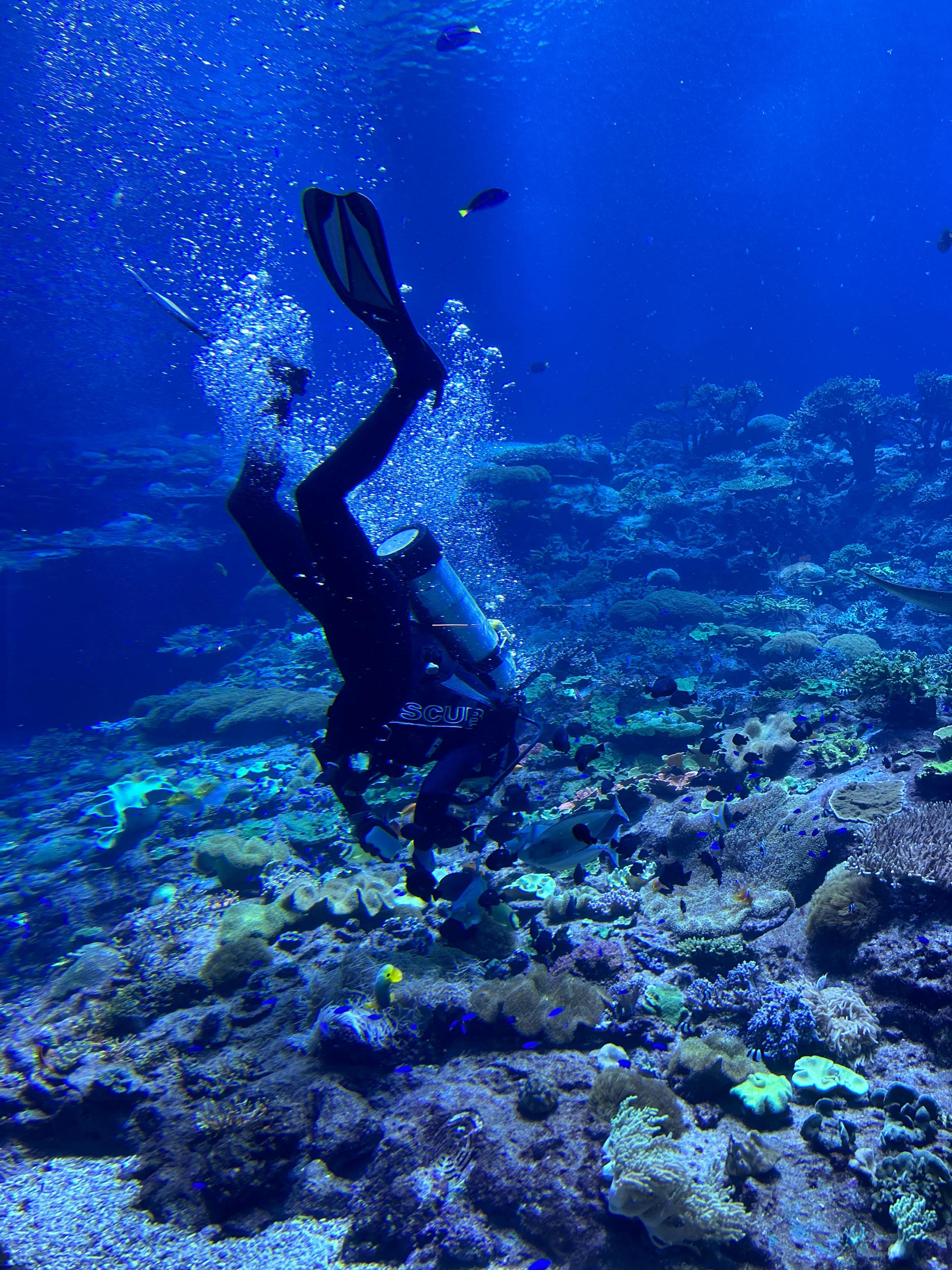 珠海亲子一日游_珠海亲子游记_珠海亲子游攻略