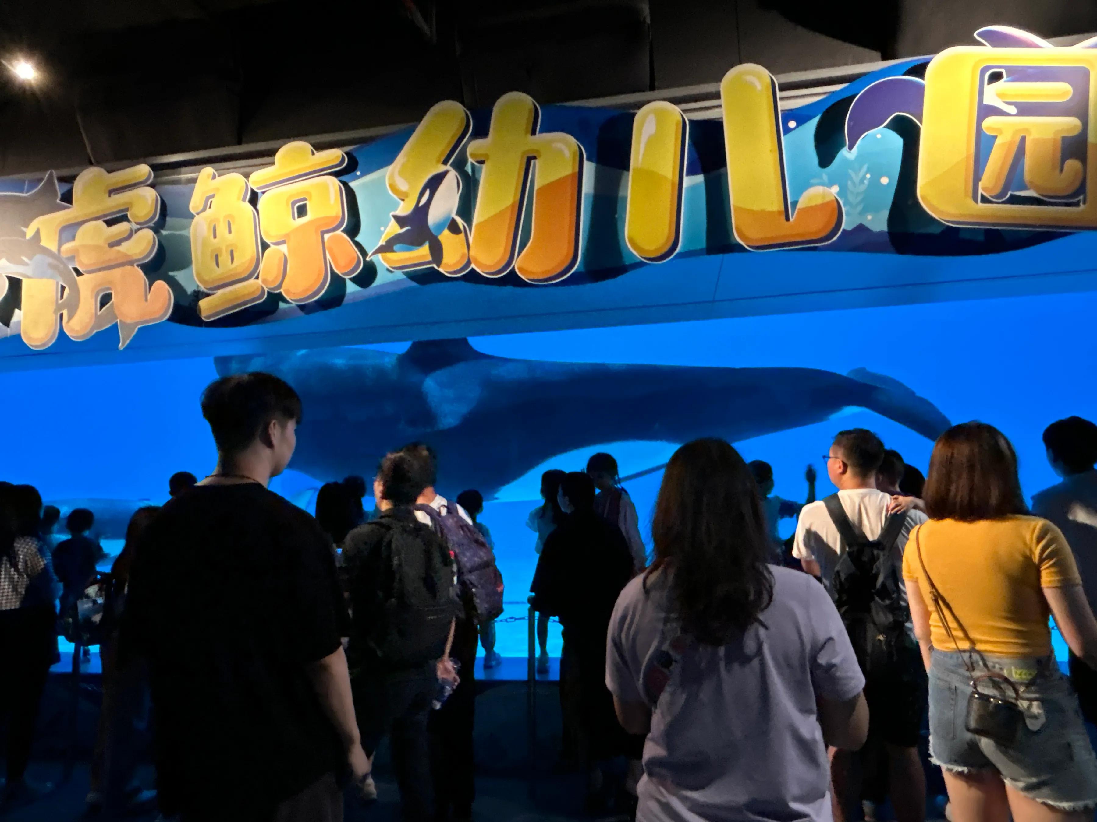 珠海亲子一日游_珠海亲子游记_珠海亲子游攻略