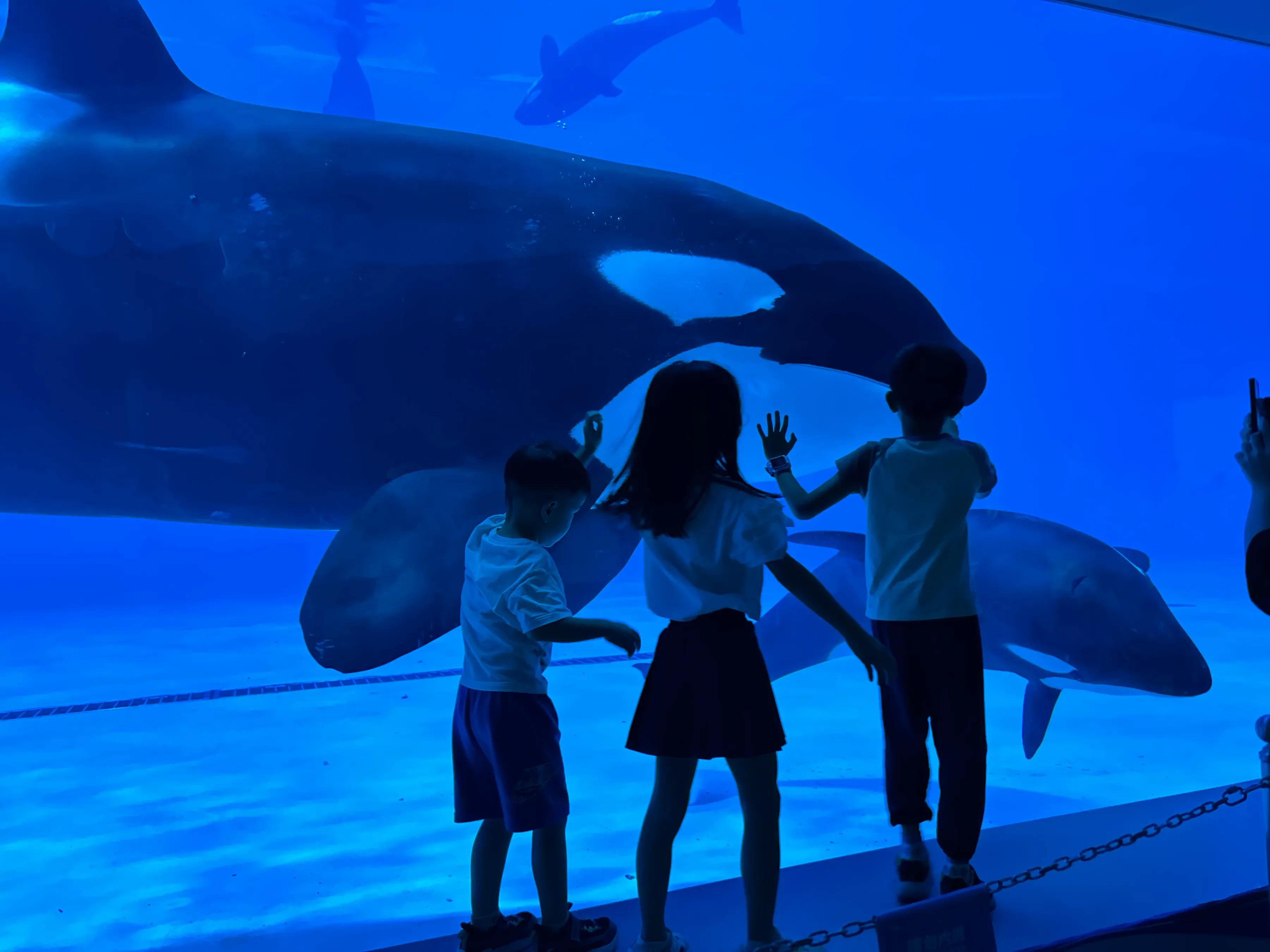 珠海亲子游记_珠海亲子游攻略_珠海亲子一日游