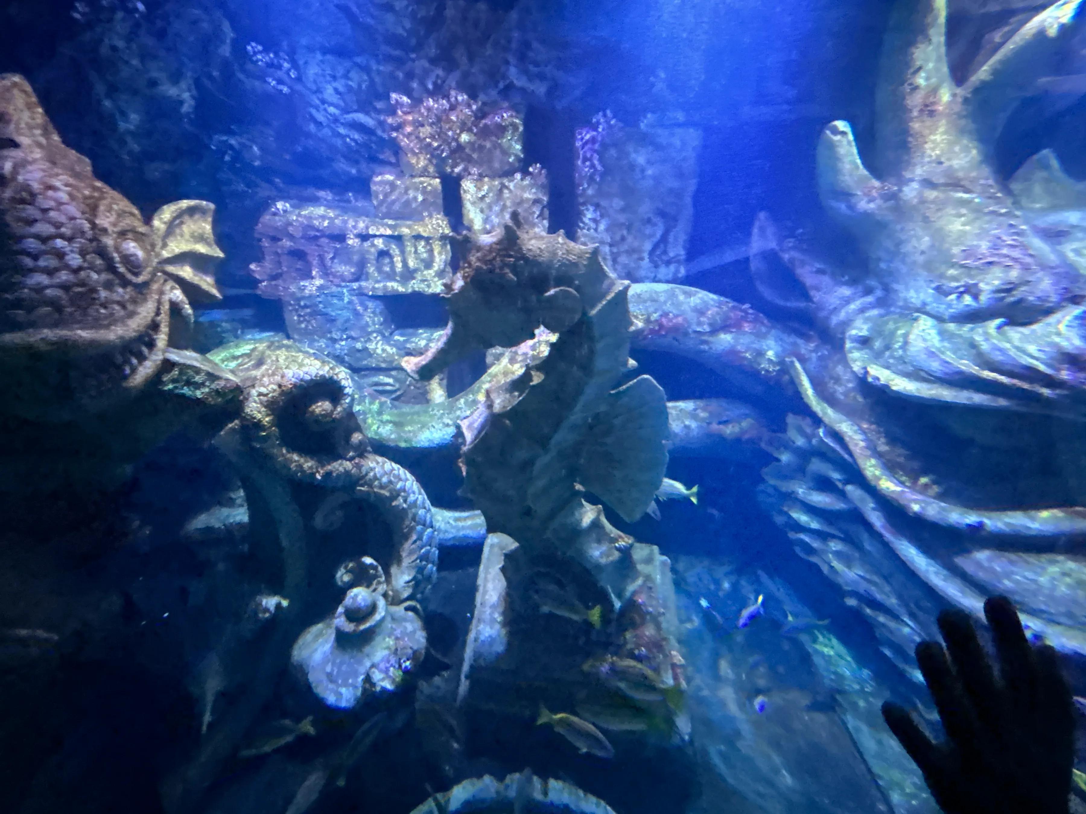 珠海亲子游记_珠海亲子一日游_珠海亲子游攻略