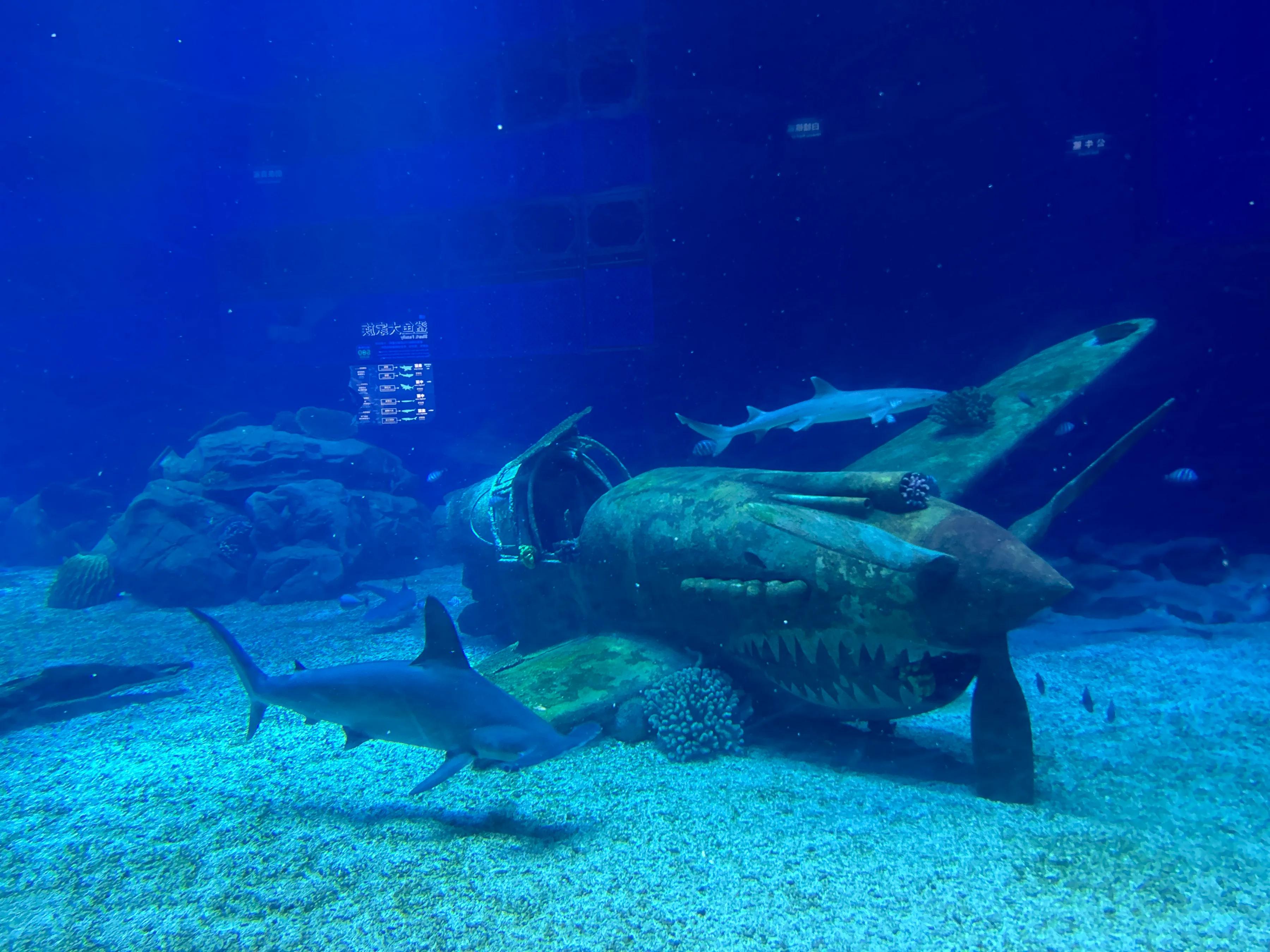 珠海亲子一日游_珠海亲子游记_珠海亲子游攻略