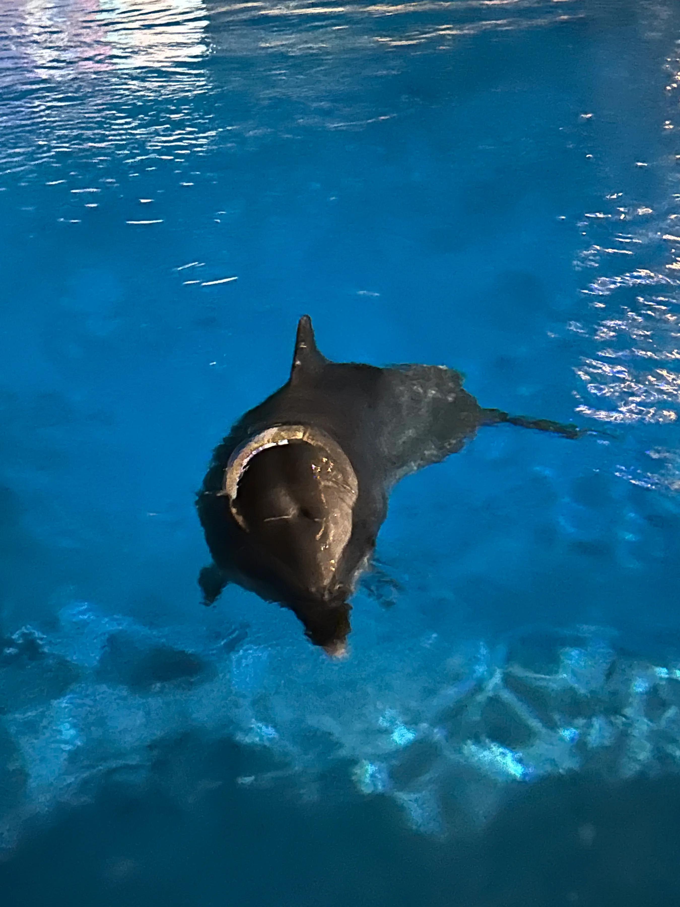 珠海亲子游记_珠海亲子一日游_珠海亲子游攻略