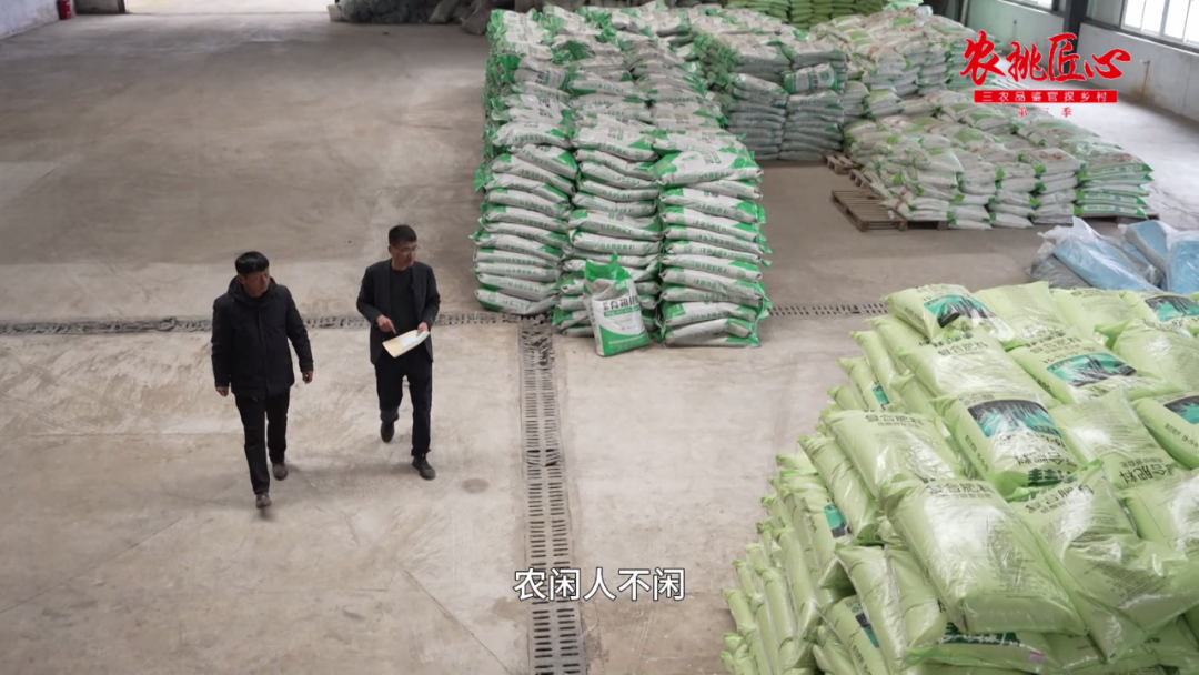 鲜食玉米产品介绍_鲜食玉米栽培与加工技术_鲜食玉米节