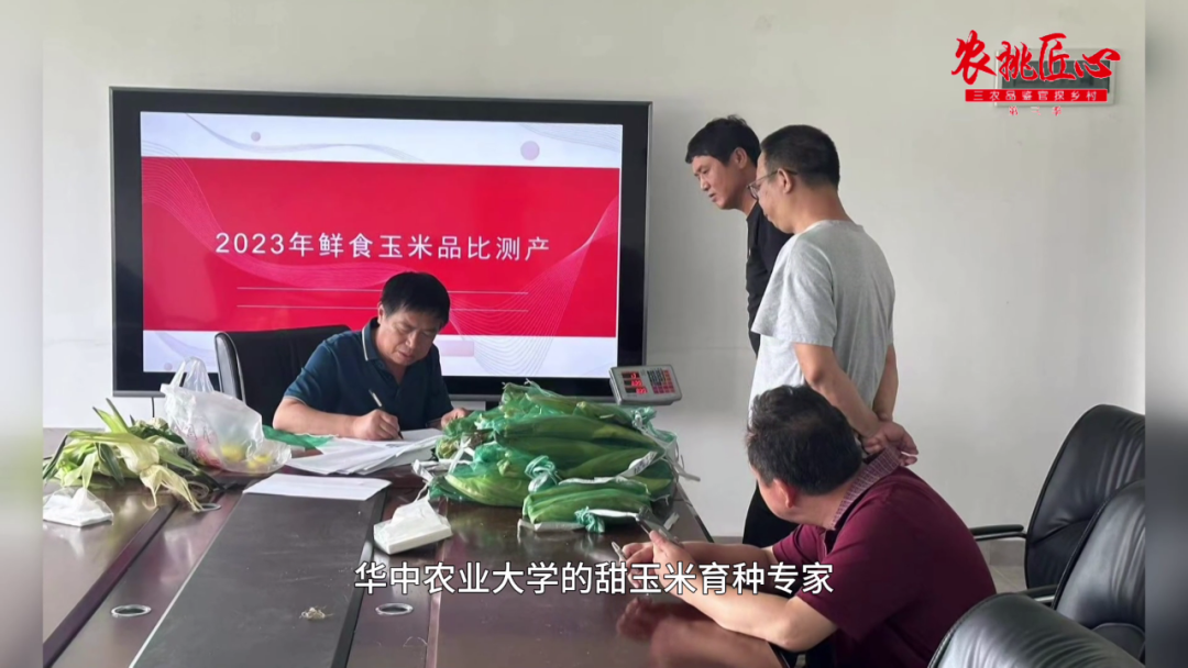 鲜食玉米产品介绍_鲜食玉米节_鲜食玉米栽培与加工技术