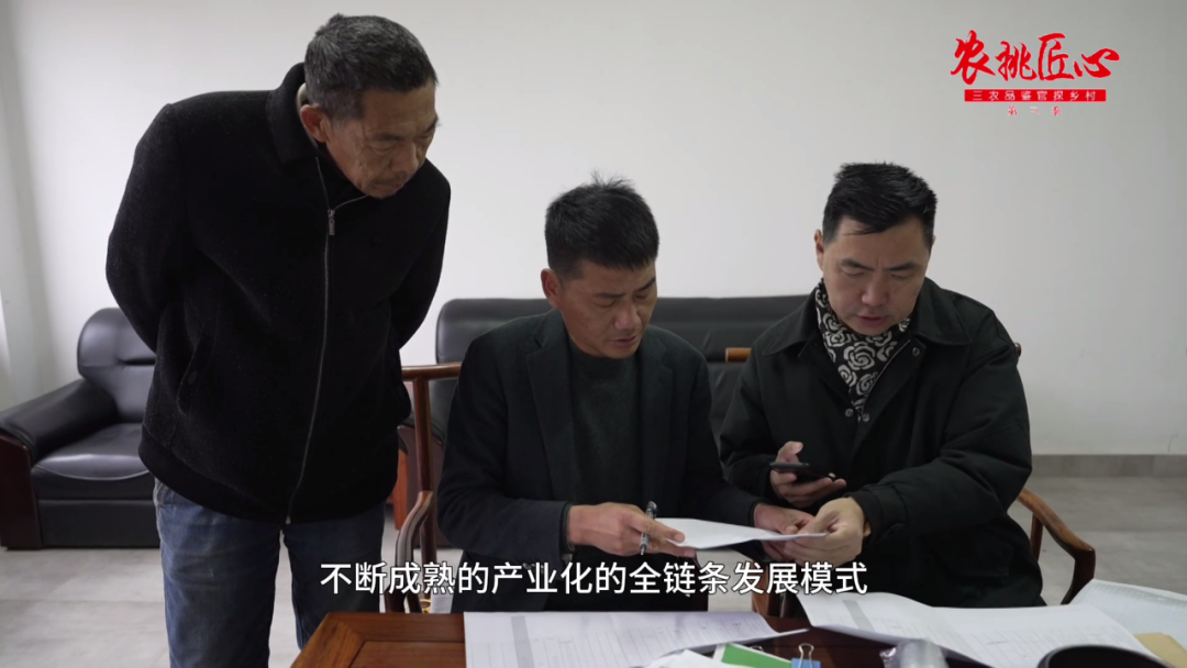 鲜食玉米节_鲜食玉米产品介绍_鲜食玉米栽培与加工技术