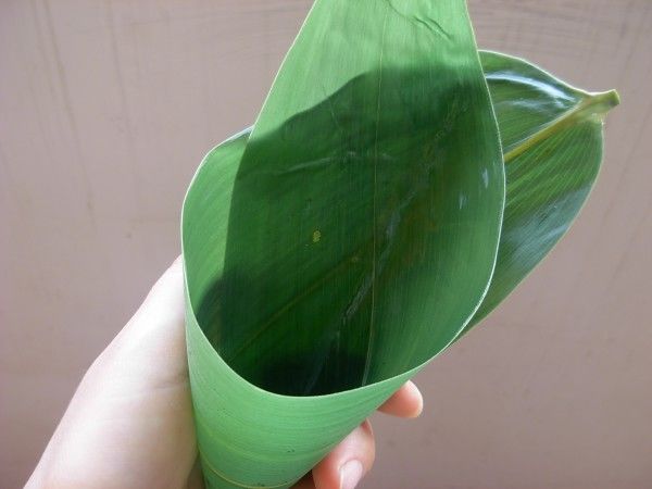 蒸大黄米的做法大全_蒸大黄米需要多长时间_蒸黄米的做法大全