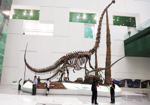 中国科技馆新馆门票多少钱_中国科技馆新馆在哪_中国科技馆新馆巨幕