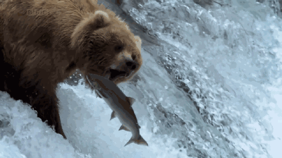 渔业养殖产量_渔业产量_四大渔场年产量