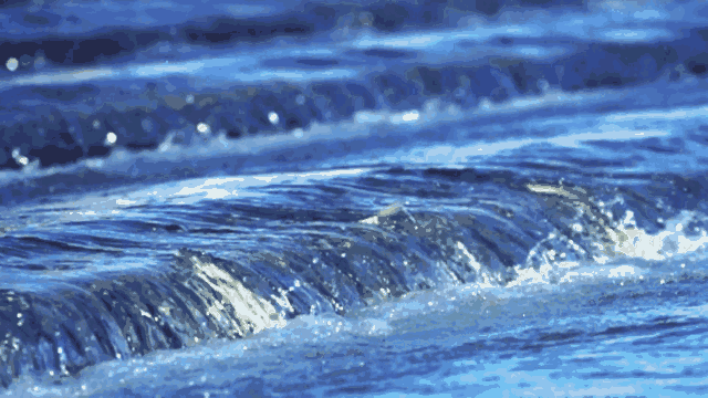 渔业养殖产量_渔业产量_四大渔场年产量