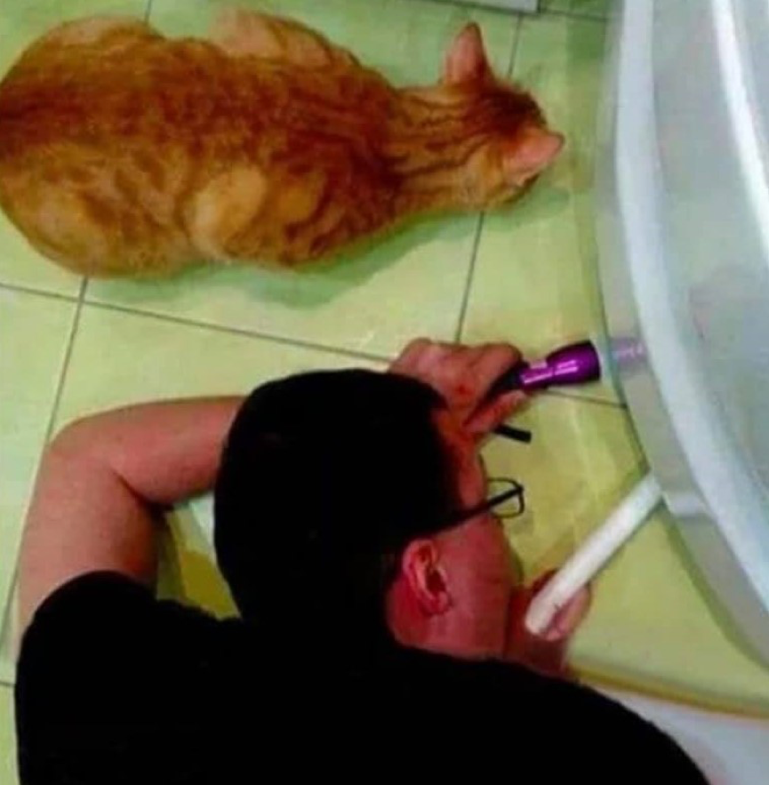 路由器猫儿_路由器和猫是一样的吗_wifi路由器猫