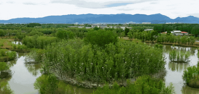 北京翠湖科技园潜力_海淀区翠湖科技园_北京翠湖科技园都有哪些公司