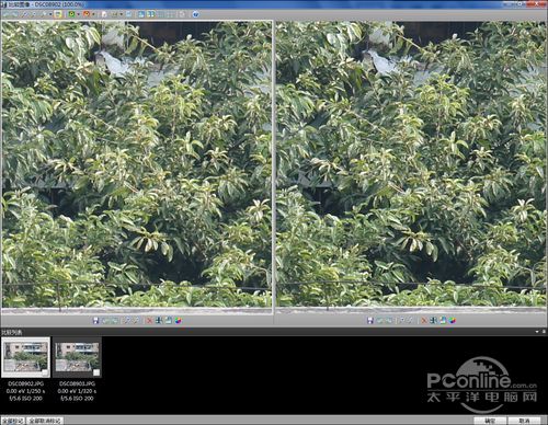 索尼半透镜成像影响测试——1600万像素篇