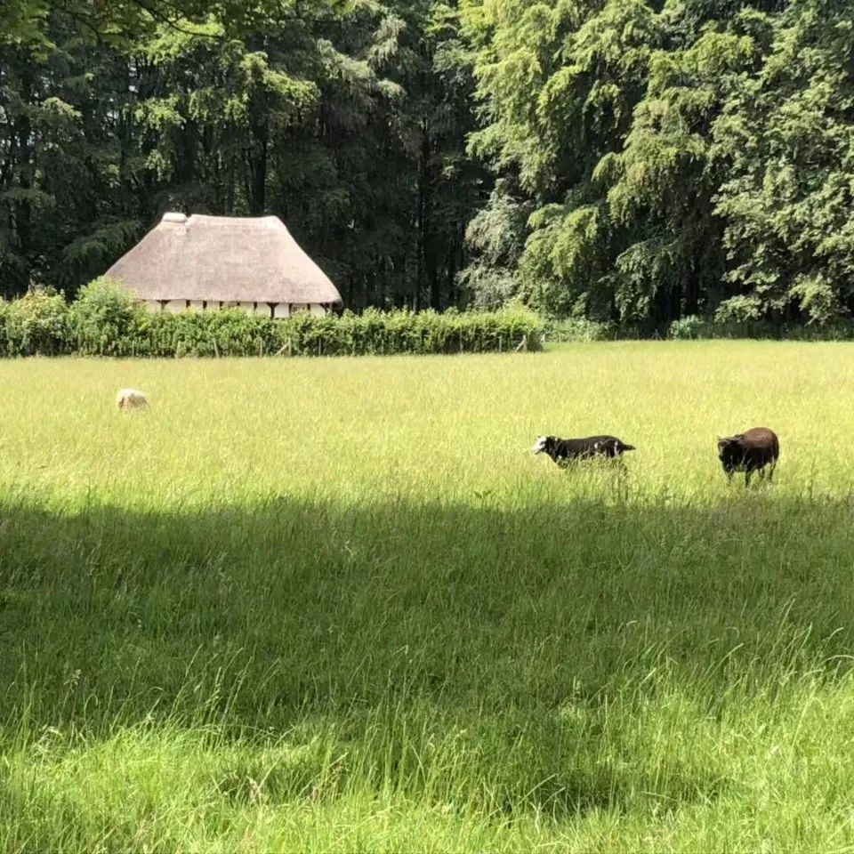 清洗速腾节气门要多久_速腾节气门多久清洗_大众速腾节气门清洗一次多少钱