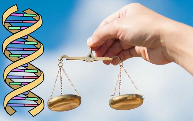 孕期亲子鉴定结果