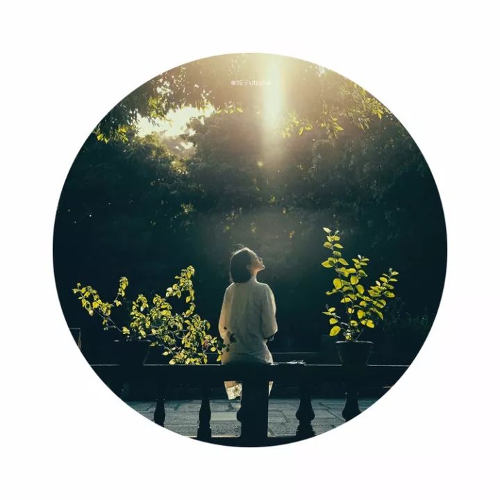 单行道逆行几个抓拍镜头罚款_疼的单行道我逆行_逆行走单行道