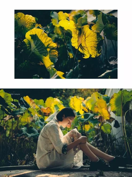 疼的单行道我逆行_逆行走单行道_单行道逆行几个抓拍镜头罚款