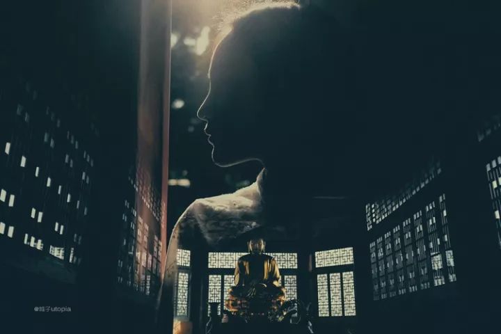 单行道逆行几个抓拍镜头罚款_疼的单行道我逆行_逆行走单行道