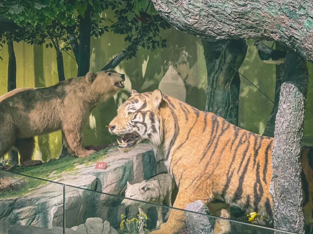 武汉科技展览馆_武汉科技馆水展厅_2020武汉水展