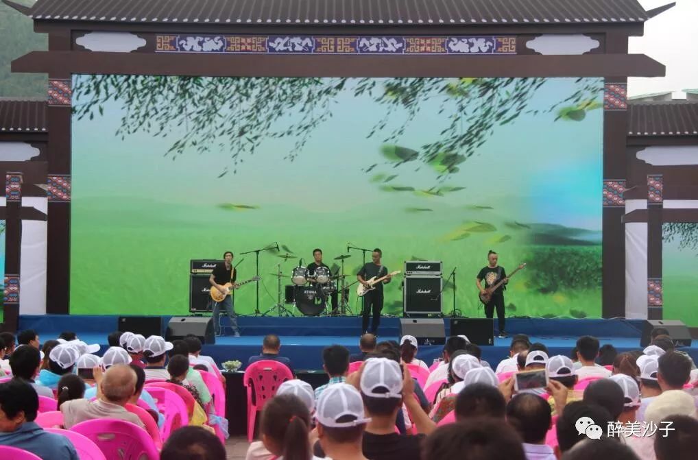 沙子空心李广告语_沙子空心李多少钱一斤_沙子空心李预售