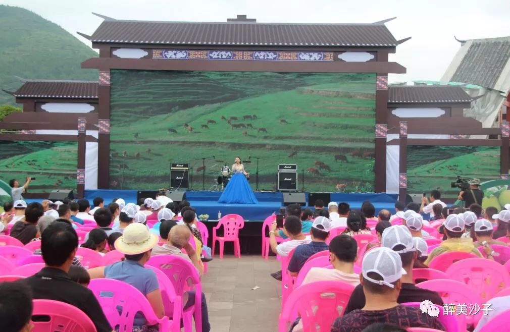沙子空心李多少钱一斤_沙子空心李预售_沙子空心李广告语