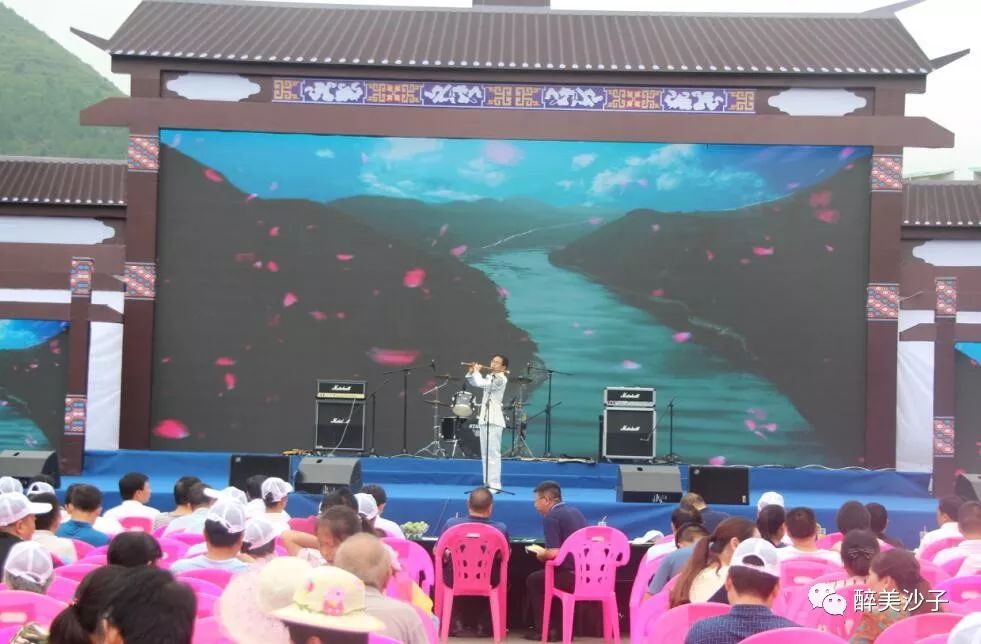 沙子空心李多少钱一斤_沙子空心李预售_沙子空心李广告语