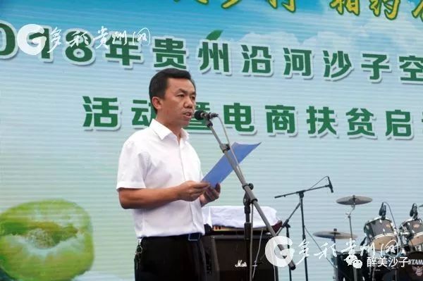 沙子空心李多少钱一斤_沙子空心李广告语_沙子空心李预售