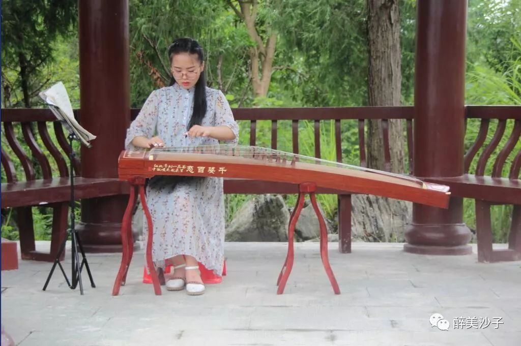 沙子空心李多少钱一斤_沙子空心李广告语_沙子空心李预售