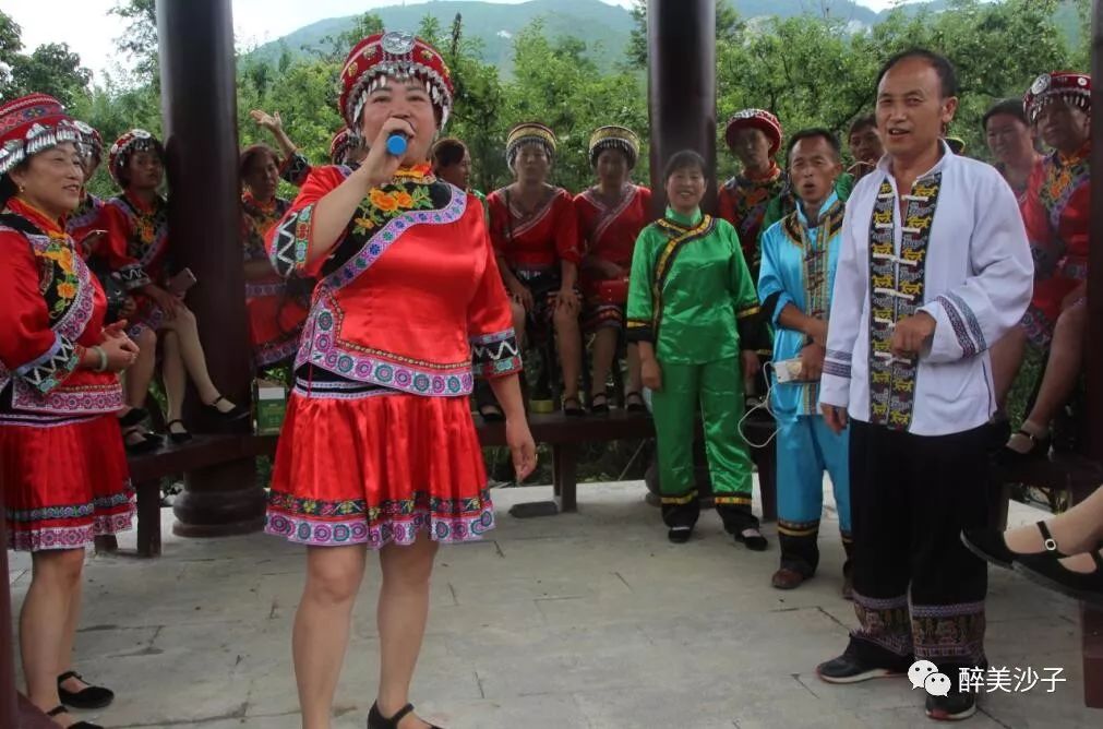 沙子空心李预售_沙子空心李广告语_沙子空心李多少钱一斤