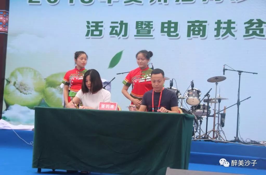 沙子空心李广告语_沙子空心李预售_沙子空心李多少钱一斤