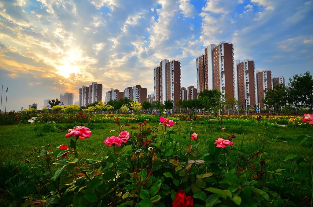 地质石油勘探小区有哪些_石油勘探队联系方式_石油地质勘探小区