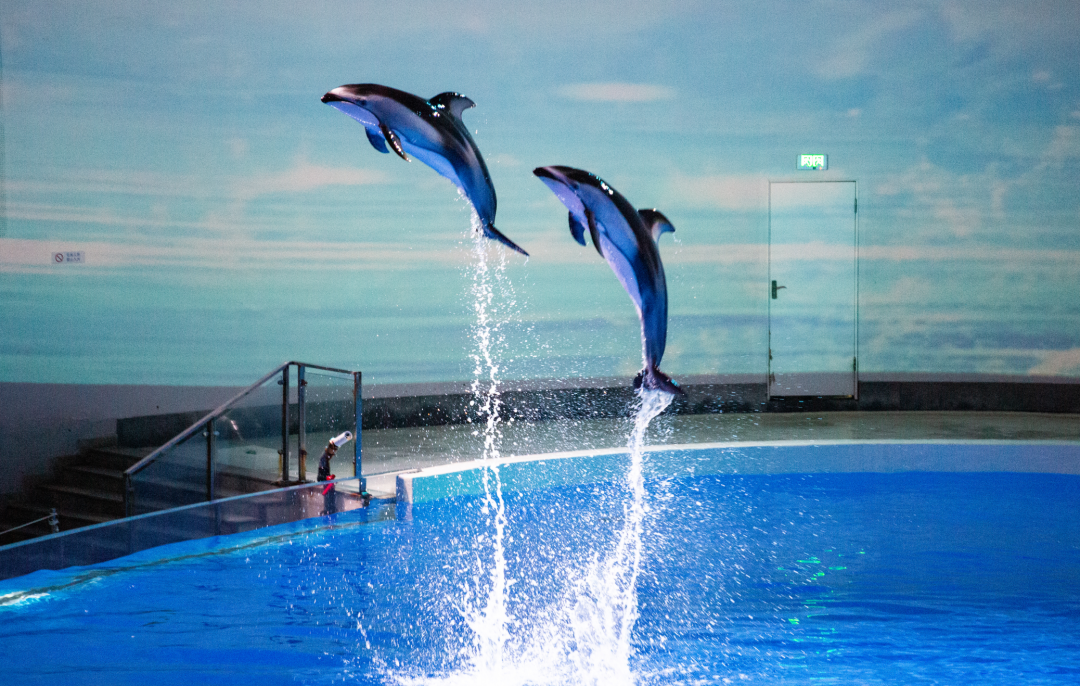 武汉节水科技馆_武汉水科技博览会_武汉科技馆水展厅