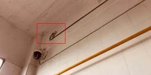 小型煤气发生炉原理_家用小型煤气发生炉_家用炉煤气小型发生火灾