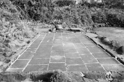 中国四大渔场与盐场图_我国四大盐场分布图_长芦盐场成为最大盐场的原因是