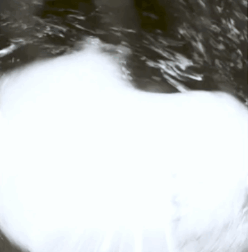 洗衣机清洗剂真的好用吗_洗衣机清洗剂哪款好_洗衣机清洗剂好用吗