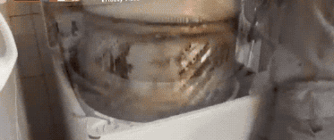 洗衣机清洗剂好用吗_洗衣机清洗剂真的好用吗_洗衣机清洗剂哪款好