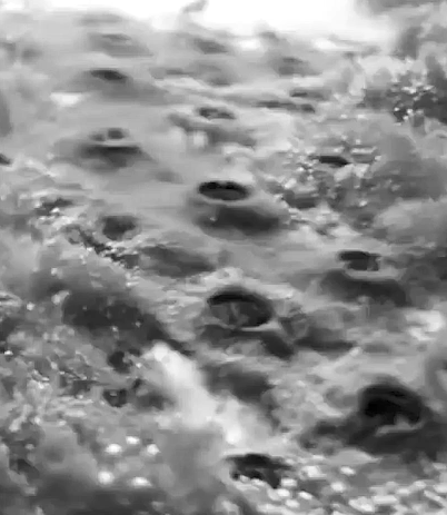 洗衣机清洗剂真的好用吗_洗衣机清洗剂哪款好_洗衣机清洗剂好用吗