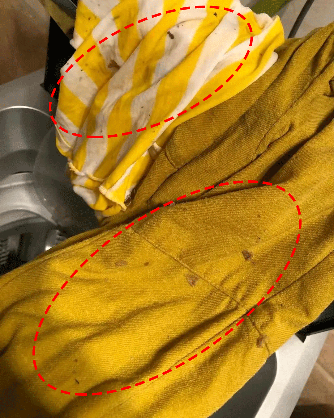 洗衣机清洗剂哪款好_洗衣机清洗剂真的好用吗_洗衣机清洗剂好用吗