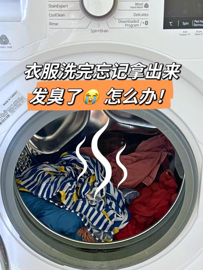 洗衣机清洗剂好用吗_洗衣机清洗剂哪款好_专业洗衣机清洗剂