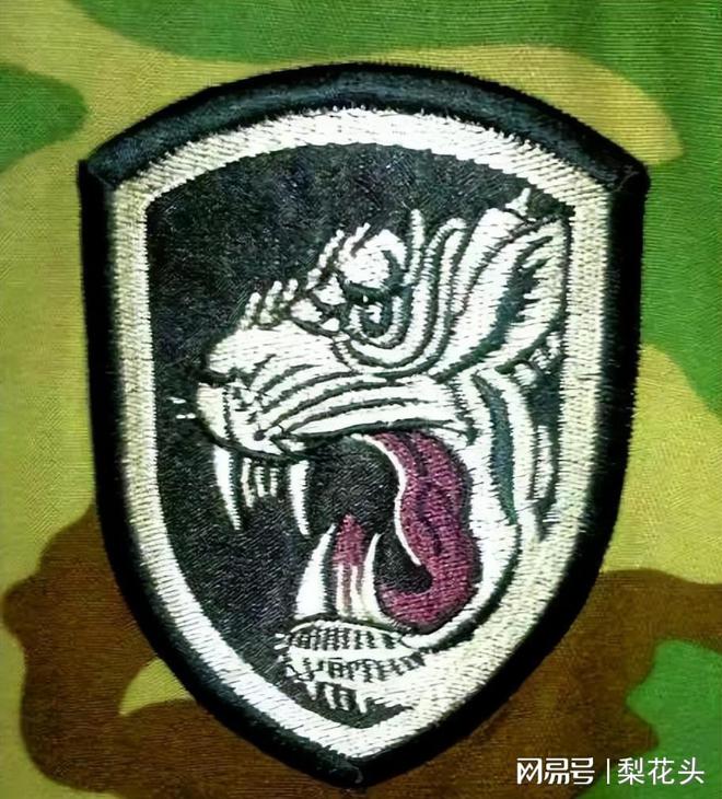 军事史林近看台军装甲部队_装甲司令回忆录_装甲军编制