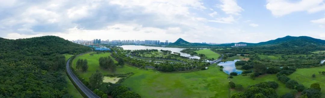 山纹大理石_大理石纹山药的做法_大理石纹山水画背景墙