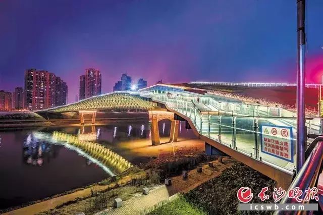 引桥桥型_引桥桥台_桥台和引桥