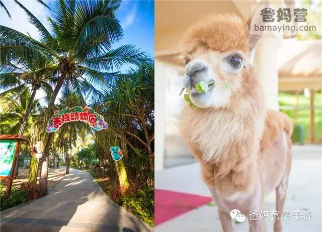 厦门最有名的亲子酒店_厦门亲子主题酒店_厦门亲子度假酒店排行榜