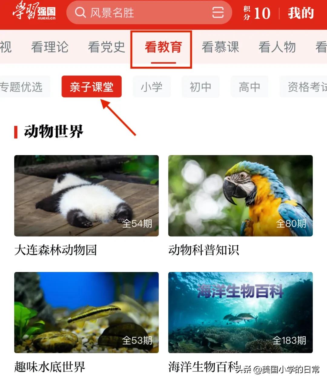 儿童软件哪个好_儿童点软件_儿童专用软件