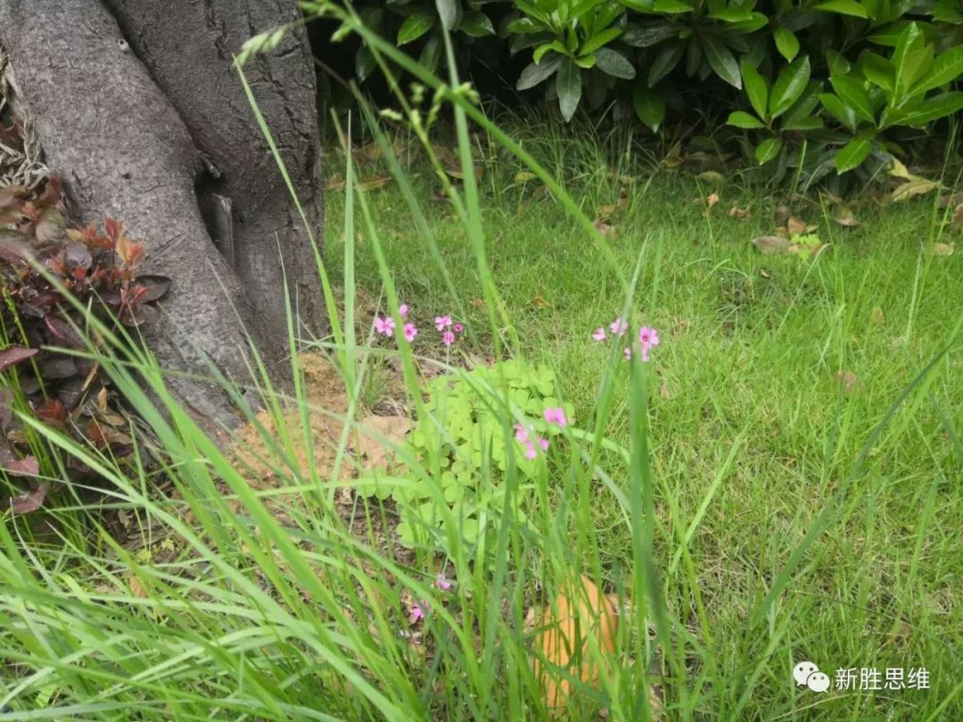 桥引是什么意思_桥的引桥是什么_引桥是桥的哪里